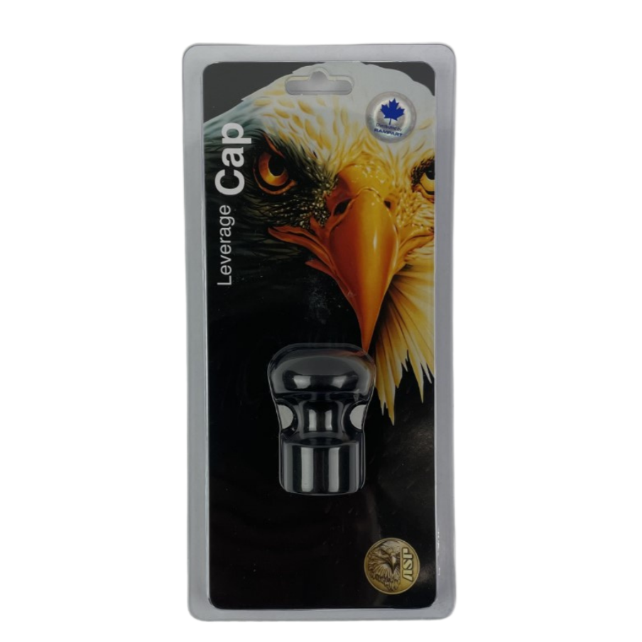 ASP - Leverage Cap