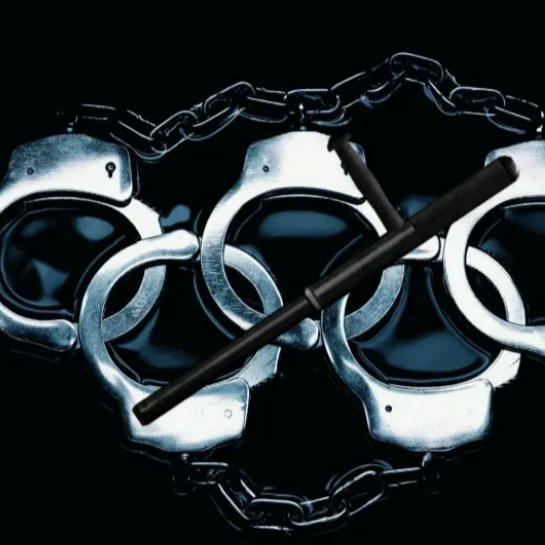 Use of Force Training - Online