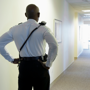 Online Security Guard Course